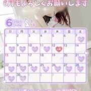 ヒメ日記 2025/06/16 08:00 投稿 ともみ【礼儀礼節完璧】 Beppin house