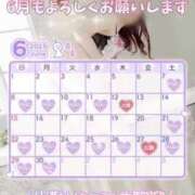 ヒメ日記 2025/06/26 08:20 投稿 ともみ【礼儀礼節完璧】 Beppin house