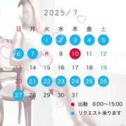 ヒメ日記 2025/07/15 08:11 投稿 ともみ【礼儀礼節完璧】 Beppin house
