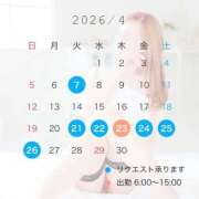 ヒメ日記 2026/03/19 15:21 投稿 ともみ【礼儀礼節完璧】 Beppin house