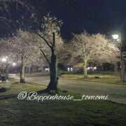 ヒメ日記 2026/03/27 08:20 投稿 ともみ【礼儀礼節完璧】 Beppin house