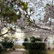 ヒメ日記 2026/03/27 20:20 投稿 ともみ【礼儀礼節完璧】 Beppin house