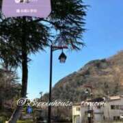 ヒメ日記 2026/03/30 20:10 投稿 ともみ【礼儀礼節完璧】 Beppin house