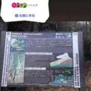 ヒメ日記 2026/03/31 20:20 投稿 ともみ【礼儀礼節完璧】 Beppin house