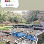 ヒメ日記 2026/04/01 08:20 投稿 ともみ【礼儀礼節完璧】 Beppin house