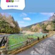 ヒメ日記 2026/04/01 12:22 投稿 ともみ【礼儀礼節完璧】 Beppin house