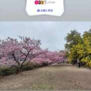 ヒメ日記 2026/04/01 20:12 投稿 ともみ【礼儀礼節完璧】 Beppin house