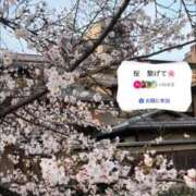 ヒメ日記 2026/04/04 12:21 投稿 ともみ【礼儀礼節完璧】 Beppin house