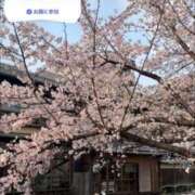 ヒメ日記 2026/04/04 20:20 投稿 ともみ【礼儀礼節完璧】 Beppin house