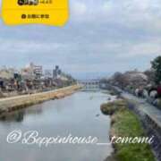 ヒメ日記 2026/04/05 08:21 投稿 ともみ【礼儀礼節完璧】 Beppin house