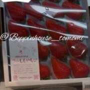 ヒメ日記 2026/04/06 12:21 投稿 ともみ【礼儀礼節完璧】 Beppin house