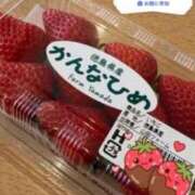 ヒメ日記 2026/04/09 08:20 投稿 ともみ【礼儀礼節完璧】 Beppin house