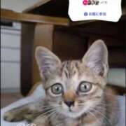 ヒメ日記 2026/04/09 20:21 投稿 ともみ【礼儀礼節完璧】 Beppin house