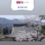 ヒメ日記 2026/04/13 20:20 投稿 ともみ【礼儀礼節完璧】 Beppin house