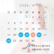 ヒメ日記 2026/04/23 08:20 投稿 ともみ【礼儀礼節完璧】 Beppin house