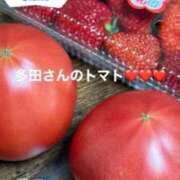 ヒメ日記 2026/04/27 15:20 投稿 ともみ【礼儀礼節完璧】 Beppin house