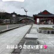 ヒメ日記 2026/05/07 12:25 投稿 ともみ【礼儀礼節完璧】 Beppin house