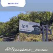 ヒメ日記 2026/05/13 12:22 投稿 ともみ【礼儀礼節完璧】 Beppin house