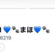 ヒメ日記 2025/06/28 15:59 投稿 まほ【驚異のリピート率最強姫】 Beppin house