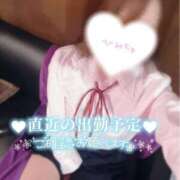 ヒメ日記 2025/04/28 18:32 投稿 さや【人懐こさ天下一品】 Beppin house