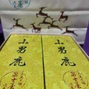 ヒメ日記 2025/06/04 17:02 投稿 さや【人懐こさ天下一品】 Beppin house