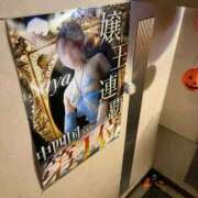 ヒメ日記 2025/11/17 12:20 投稿 さや【人懐こさ天下一品】 Beppin house