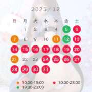 ヒメ日記 2025/11/29 20:30 投稿 さや【人懐こさ天下一品】 Beppin house