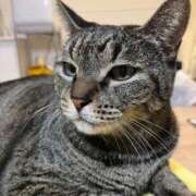 みずの【天性の潮吹き痴女】 今日の22時からのお客様！ Beppin house