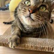 みずの【天性の潮吹き痴女】 最後の出勤です⸜(*˙꒳˙*)⸝ Beppin house