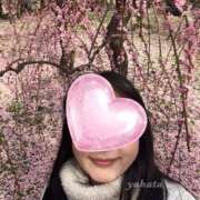 ヒメ日記 2026/03/02 10:52 投稿 やはた 艶熟妻 京都店