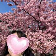 やはた 淀水路 艶熟妻 京都店