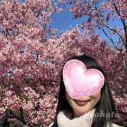 ヒメ日記 2026/03/17 11:42 投稿 やはた 艶熟妻 京都店