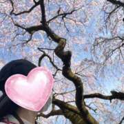 ヒメ日記 2026/03/25 10:01 投稿 やはた 艶熟妻 京都店