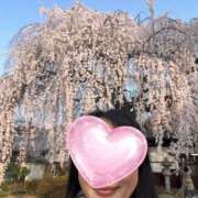 ヒメ日記 2026/03/29 08:04 投稿 やはた 艶熟妻 京都店