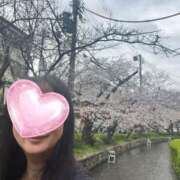 ヒメ日記 2026/04/01 12:13 投稿 やはた 艶熟妻 京都店