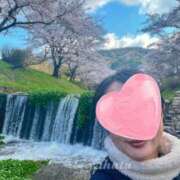 ヒメ日記 2026/04/06 13:57 投稿 やはた 艶熟妻 京都店