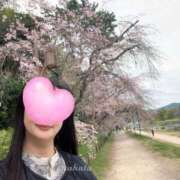 ヒメ日記 2026/04/09 12:04 投稿 やはた 艶熟妻 京都店