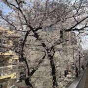 ヒメ日記 2025/03/30 19:01 投稿 西野 十恋人～トレンド～