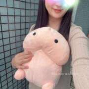 ヒメ日記 2026/03/31 15:23 投稿 習志野　たお エテルナ京都