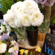 ヒメ日記 2025/01/27 14:30 投稿 一条（いちじょう） 人妻最後の砦 西船橋店