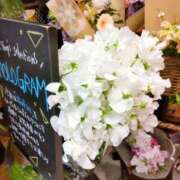 ヒメ日記 2025/01/30 10:54 投稿 一条（いちじょう） 人妻最後の砦 西船橋店