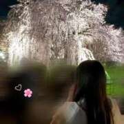 ヒメ日記 2025/04/03 17:20 投稿 いろは ばつぐん素人プロダクション