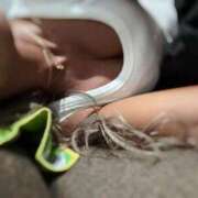 ヒメ日記 2025/04/19 00:12 投稿 まいこ ホワイトベル