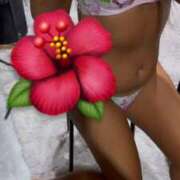 ヒメ日記 2025/11/27 21:32 投稿 まいこ ホワイトベル