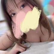 ヒメ日記 2025/06/24 10:00 投稿 りん ホワイトベル