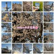 ヒメ日記 2025/04/08 17:23 投稿 もえ マイレディ