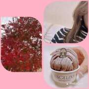 もえ 紅葉とタートルとモンブラン マイレディ