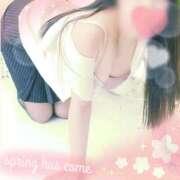 ももか (о´∀`о) マイレディ