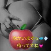 ヒメ日記 2026/03/10 02:18 投稿 いつき ぽちゃLOVE(サンライズグループ)