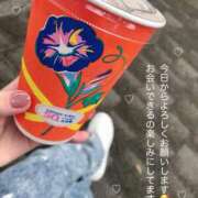 ヒメ日記 2025/06/24 13:51 投稿 かなで ぽちゃLOVE(サンライズグループ)